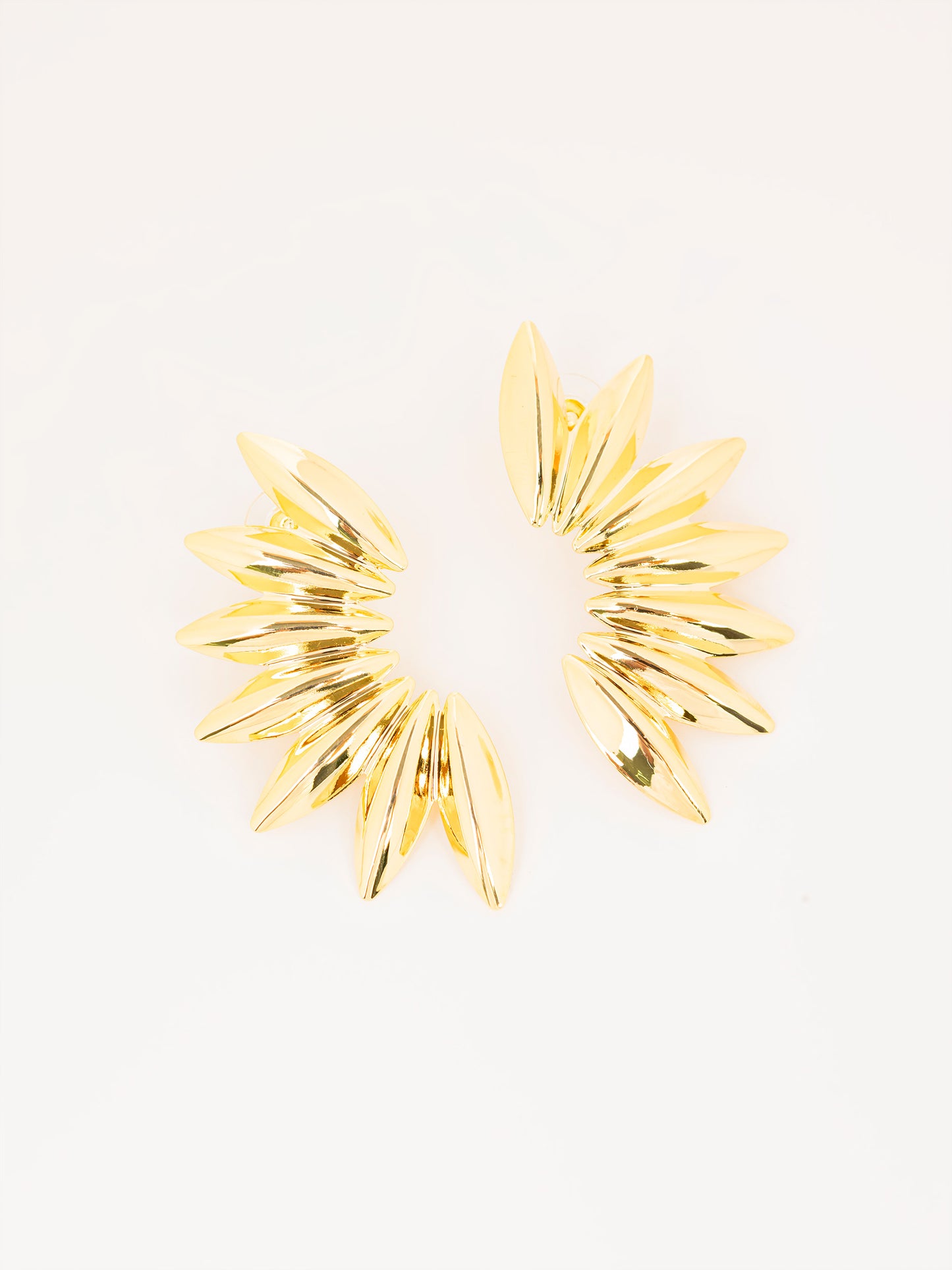Spiked Hoop Earrings
