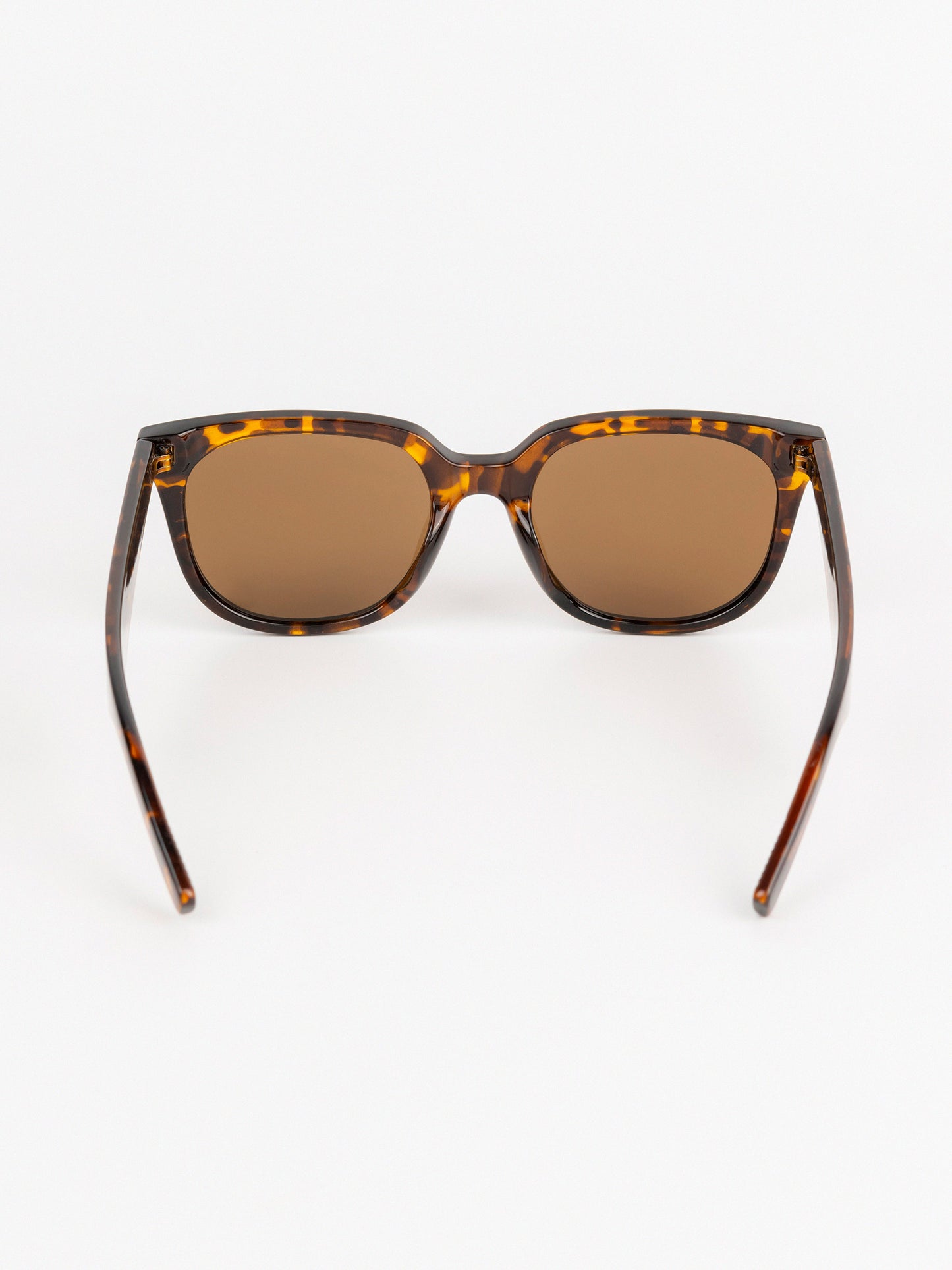 Wayfarer Sunglasses