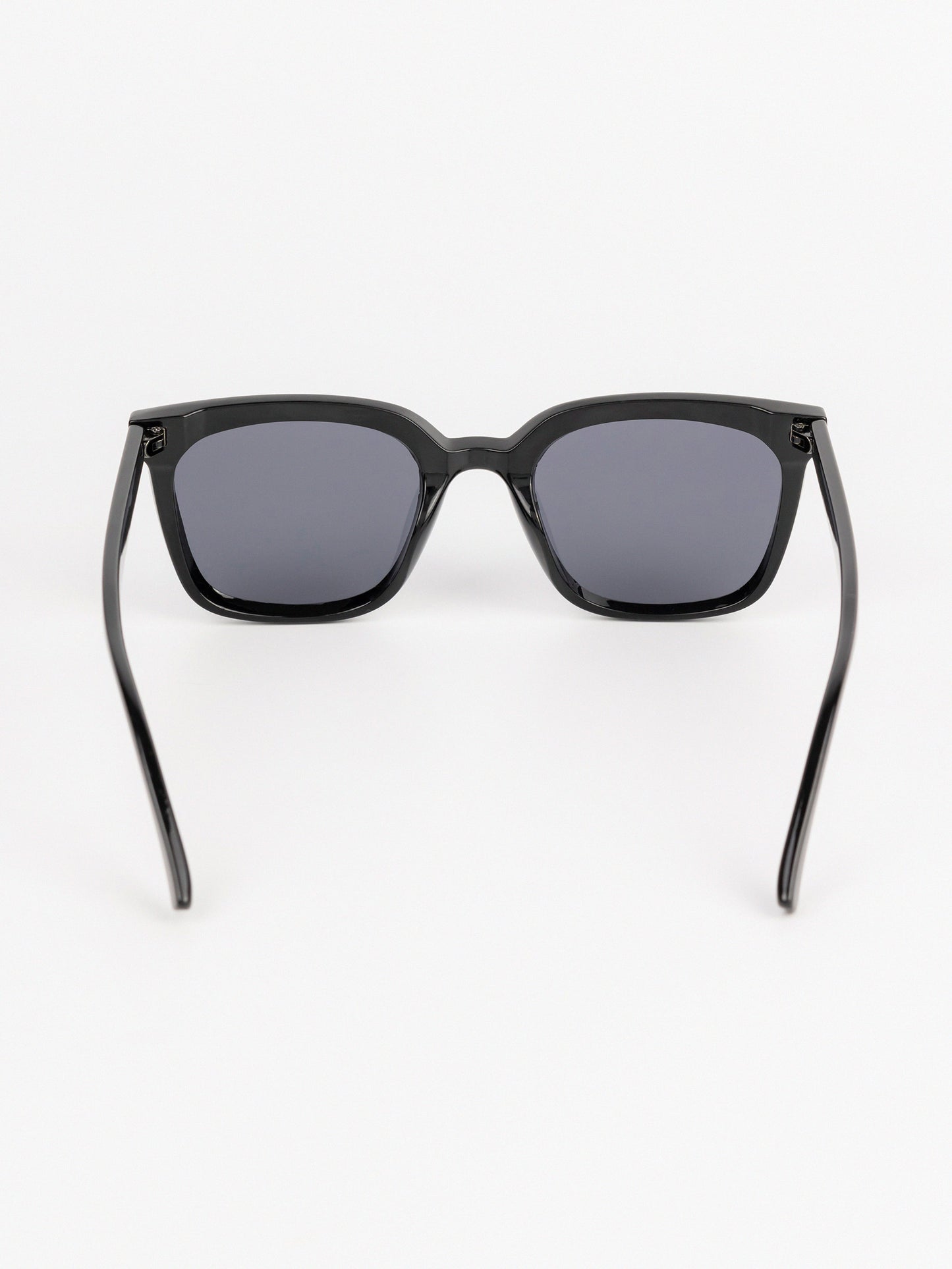 Wayfarer Sunglasses