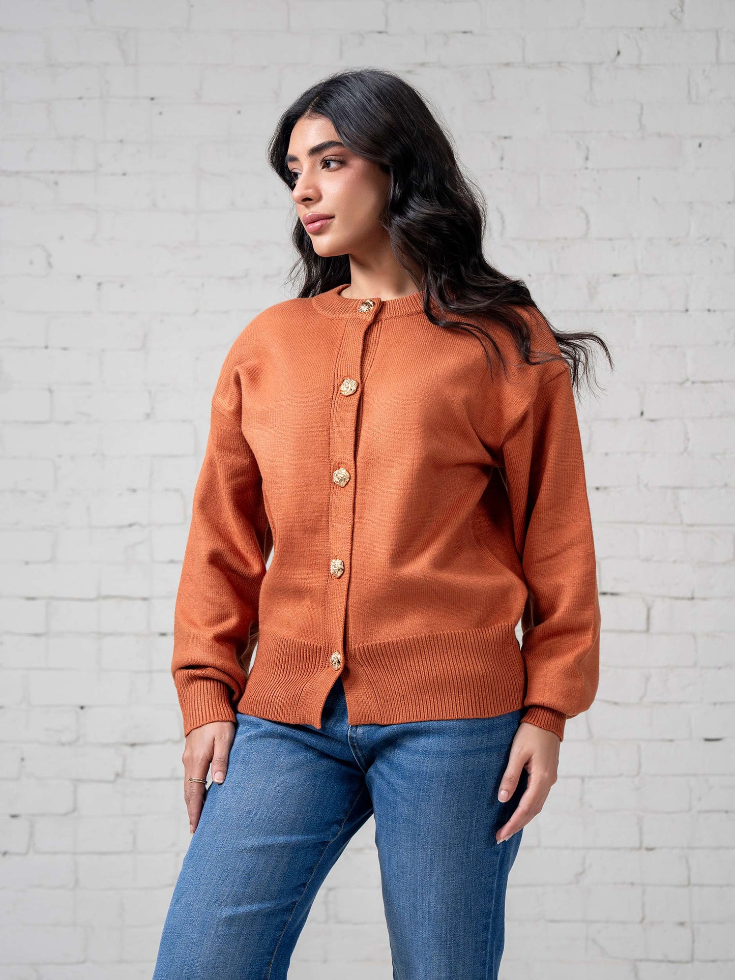 Woolen Blend Sweater