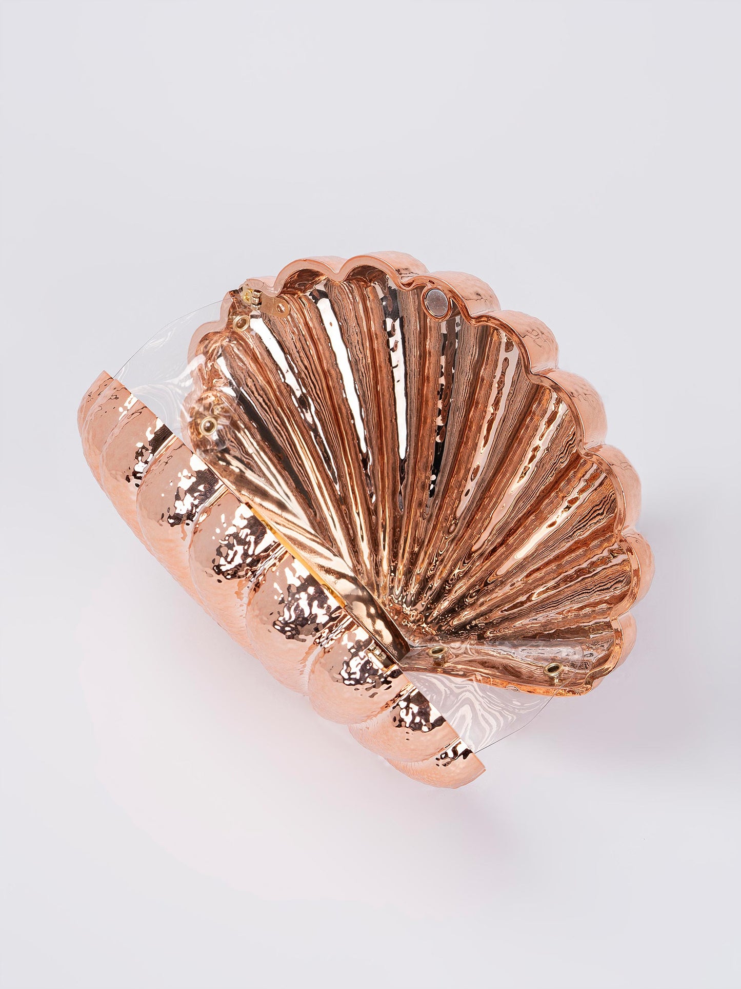 Shell Acrylic Clutch