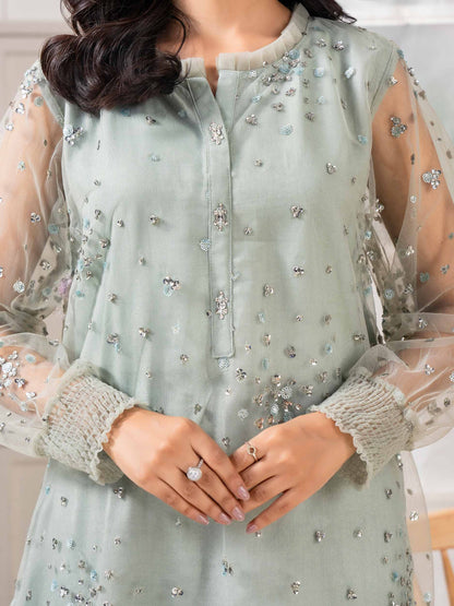 Net Co-ord Set-Embroidered (Pret)