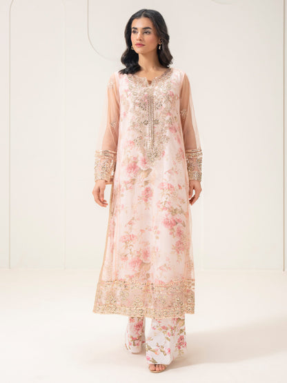 2 Piece Net Suit-Embellished (Pret)