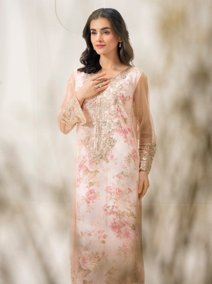 2 Piece Net Suit-Embellished (Pret)