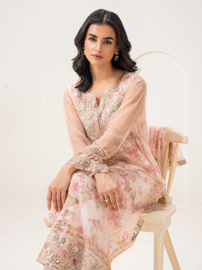 2 Piece Net Suit-Embellished (Pret)