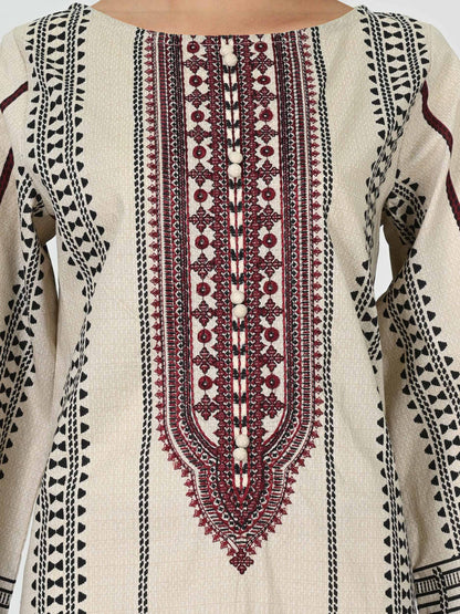 2 Piece Lawn Slub Suit- Embroidered (Pret)