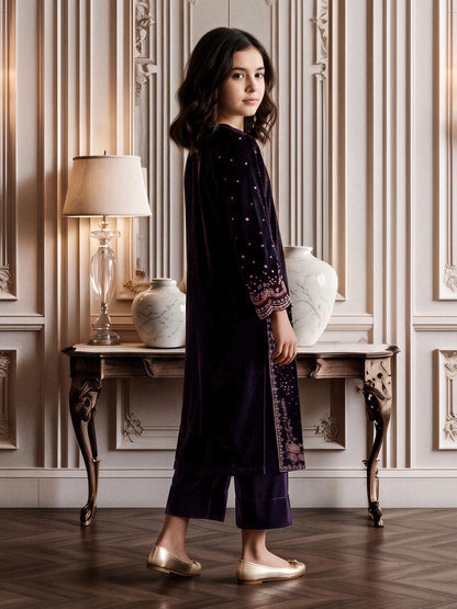 2 Piece Velvet Suit- Embroidered (Pret)