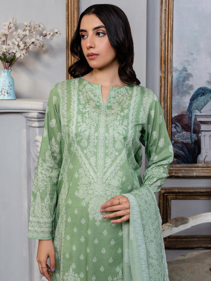 2 Piece Lawn Suit-Paste Print (Pret)