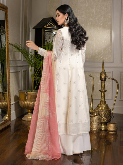 2 Piece Net Suit-Embroidered (Unstitched)