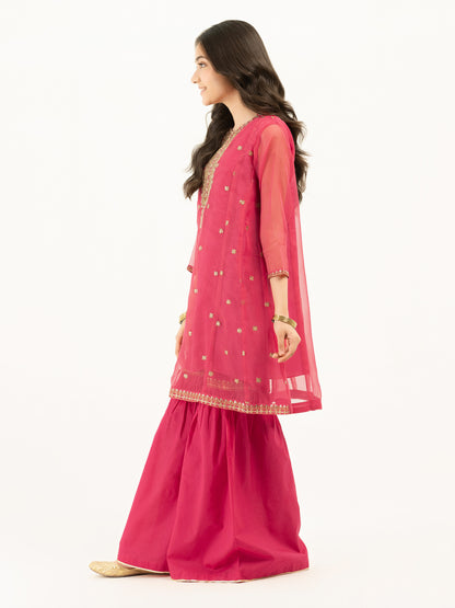 2 Piece Organza Suit-Embroidered (Pret)
