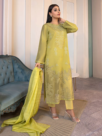 3-piece-net-suit-embroidered(pret)