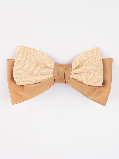Two Toned Hair Clip