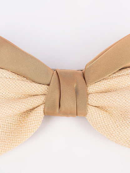 Two Toned Hair Clip