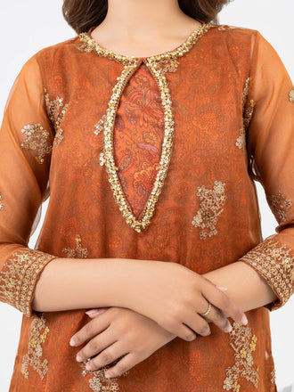 3-piece-organza-suit-embroidered(pret)