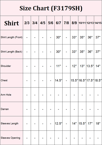 Cambric Shirt-Embroidered (Pret)