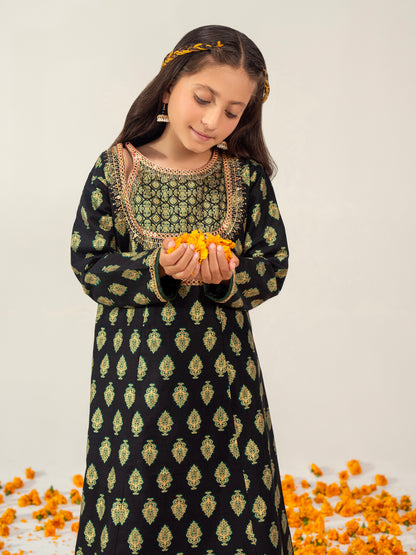 2 Piece Lawn Suit-Embroidered