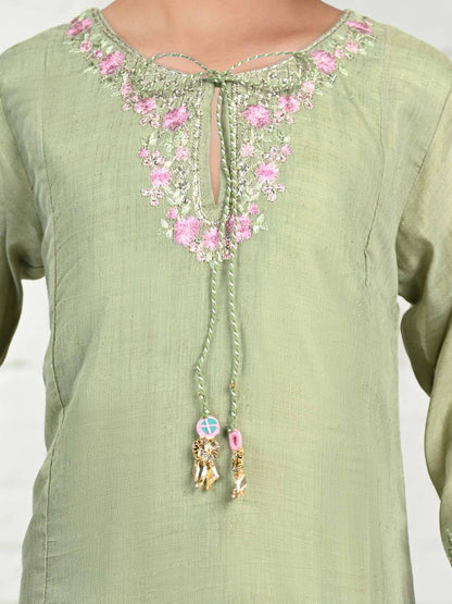 2 Piece Zari Cotton Net Suit- Embroidered (Pret)