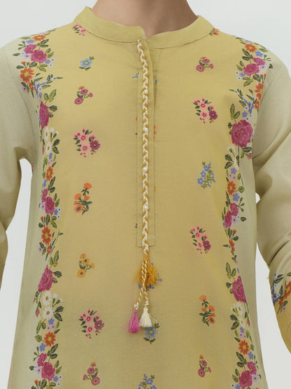 2 Piece Lawn Suit (Pret)