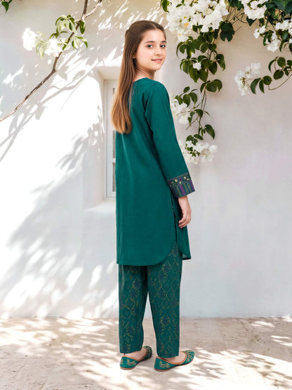 2 Piece Lawn Suit- Embroidered (Pret)