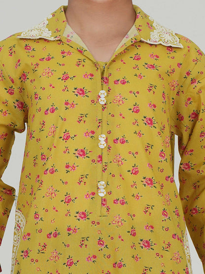 2 Piece Lawn Suit- Embroidered (Pret)
