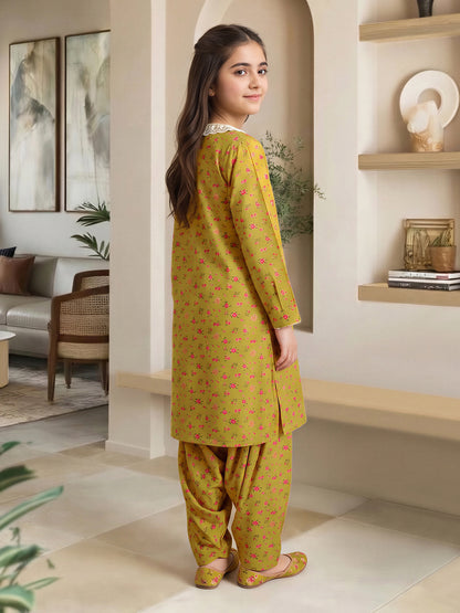 2 Piece Lawn Suit- Embroidered (Pret)