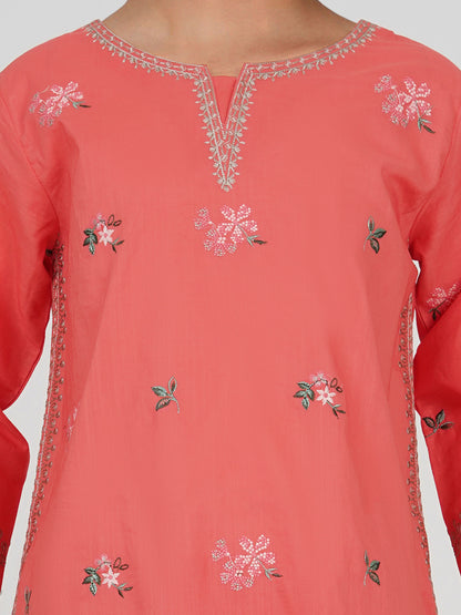2 Piece Lawn Slub Suit- Embroidered (Pret)