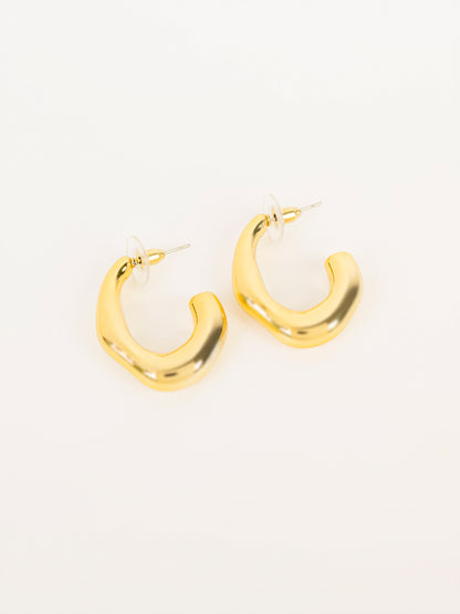 Hoop Earrings