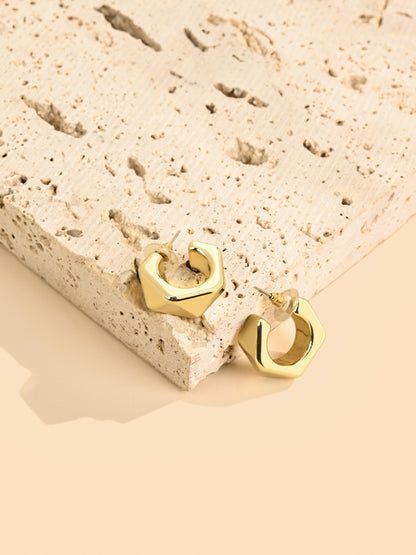 Sculpted Hoop Earrings