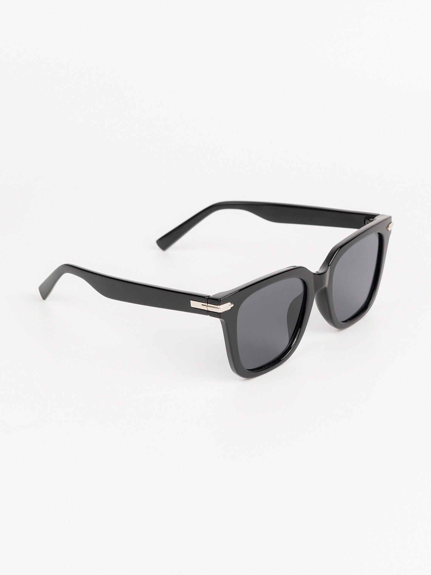 Wayfarer Sunglasses