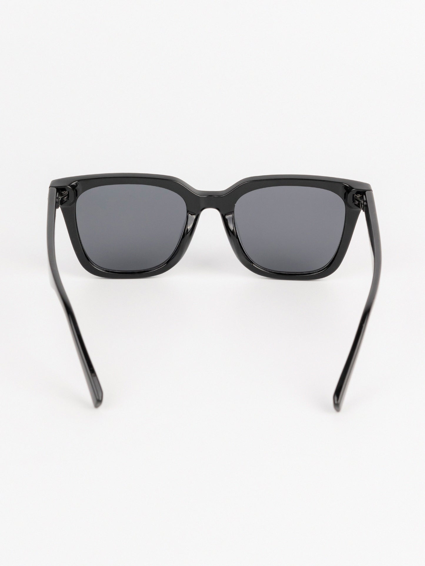 Wayfarer Sunglasses