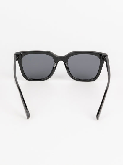 Wayfarer Sunglasses