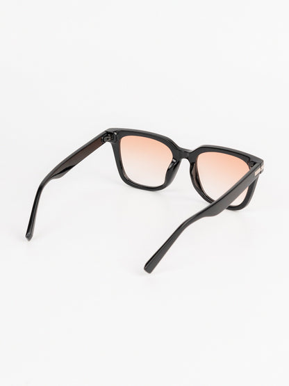 Wayfarer Sunglasses