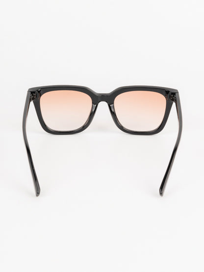 Wayfarer Sunglasses