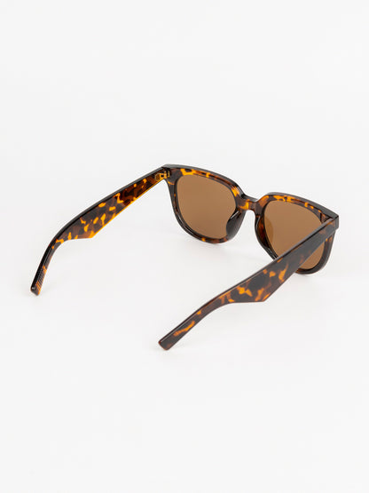 Wayfarer Sunglasses