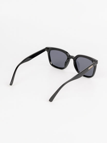 Wayfarer Sunglasses