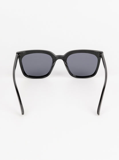 Wayfarer Sunglasses
