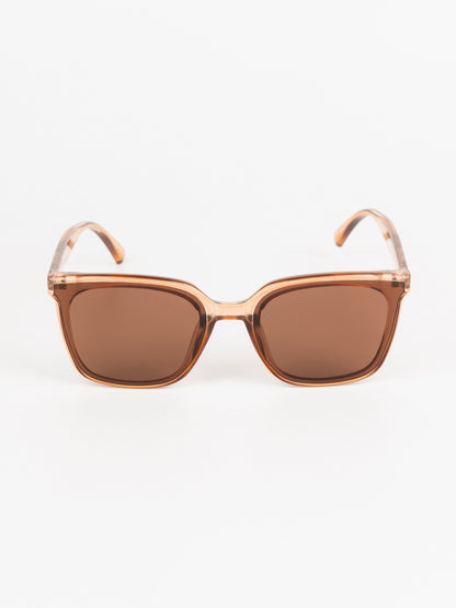 Wayfarer Sunglasses