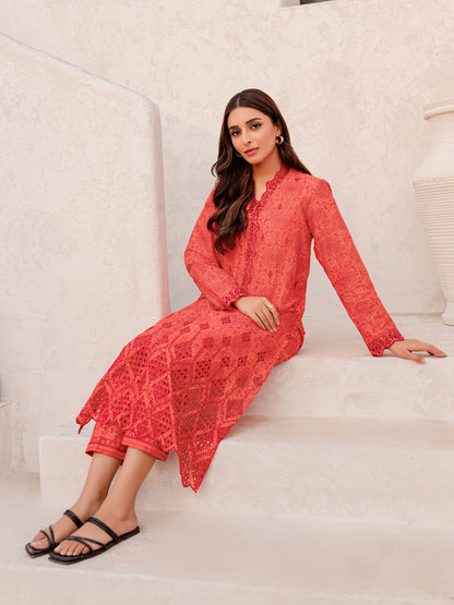 2 Piece Lawn Suit-Embroidered (Pret)