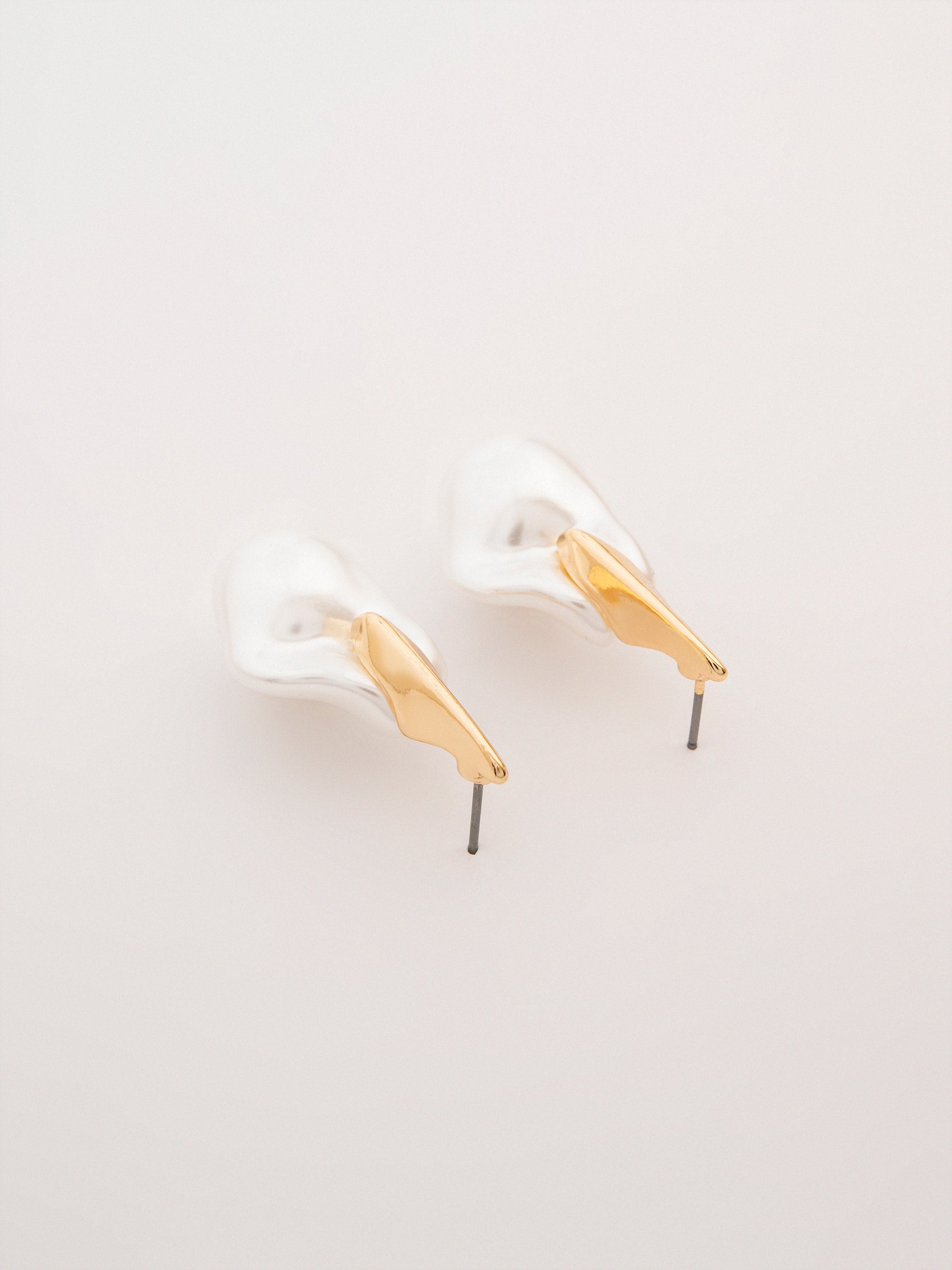 Sculpted Earrings