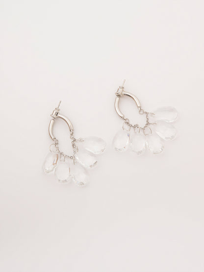 Charm Earrings