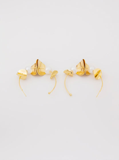 Hoops Earrings