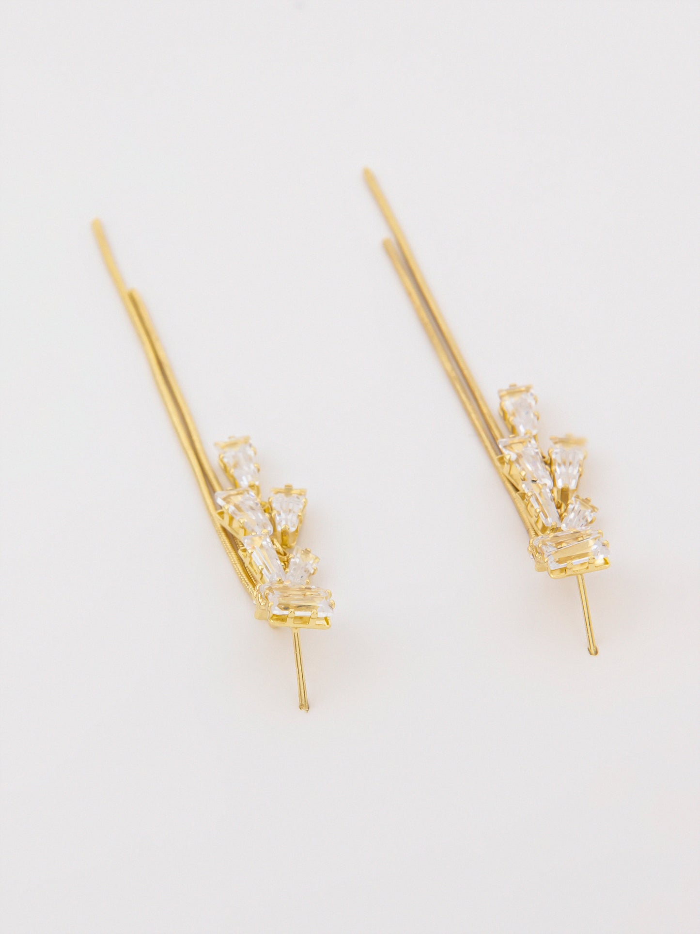 Dangle Earrings