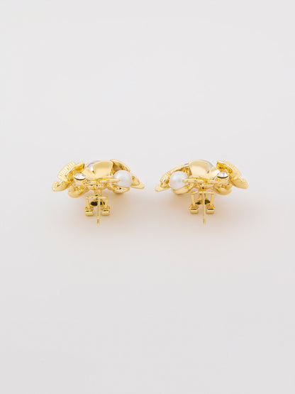 Embellished Earrings