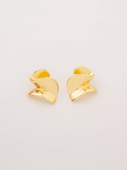 Sculptural Earrings