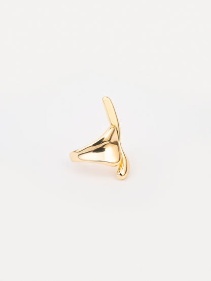 Abstract Ring