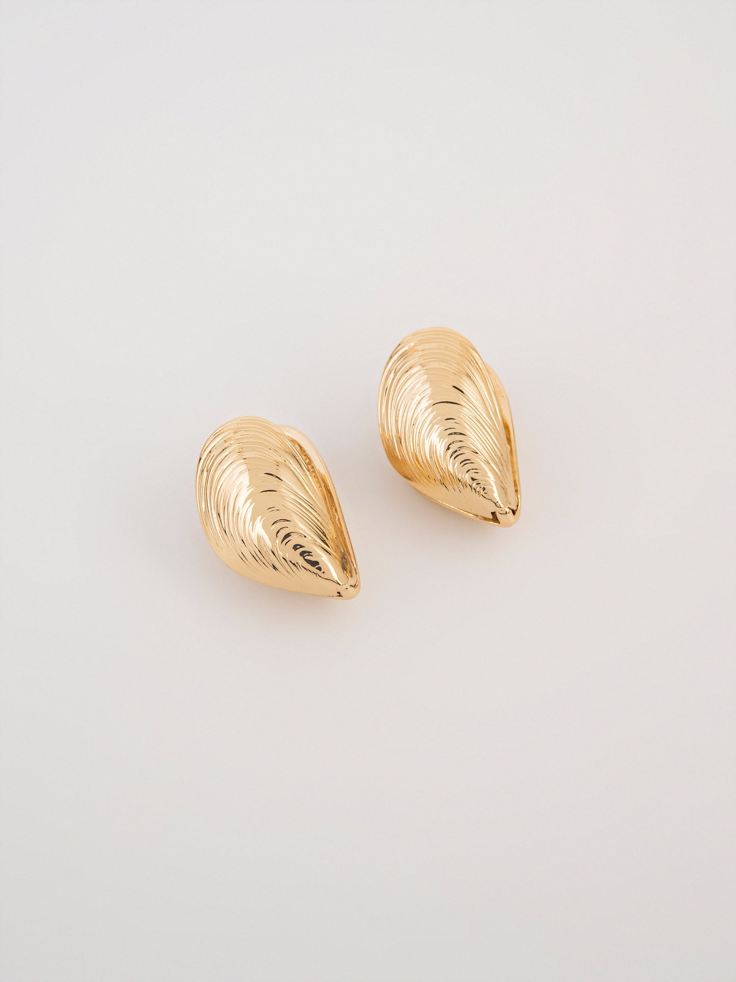 Shell Earrings