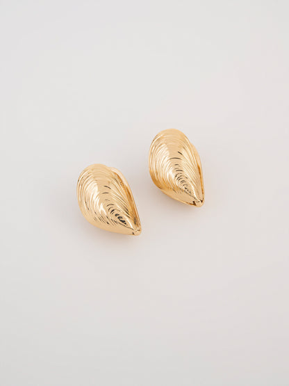 Shell Earrings