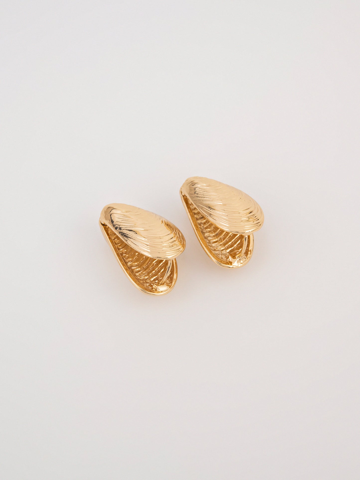 Shell Earrings