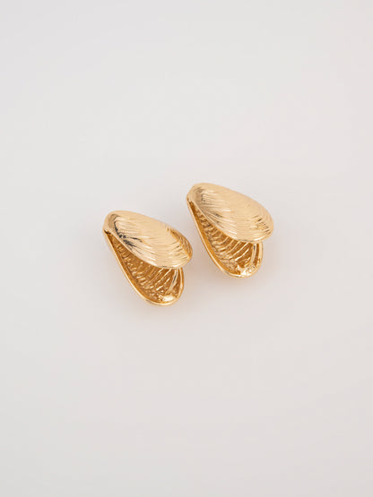 Shell Earrings
