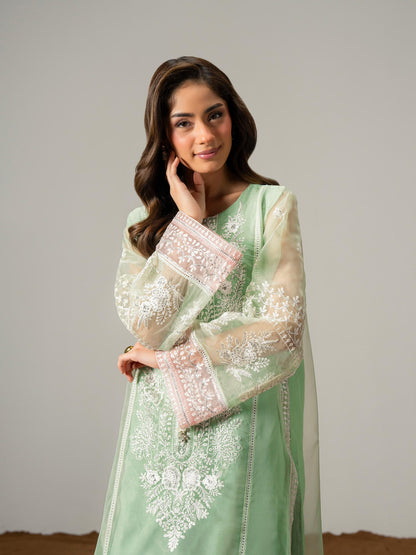 2 Piece Organza Suit-Embroidered (Pret)